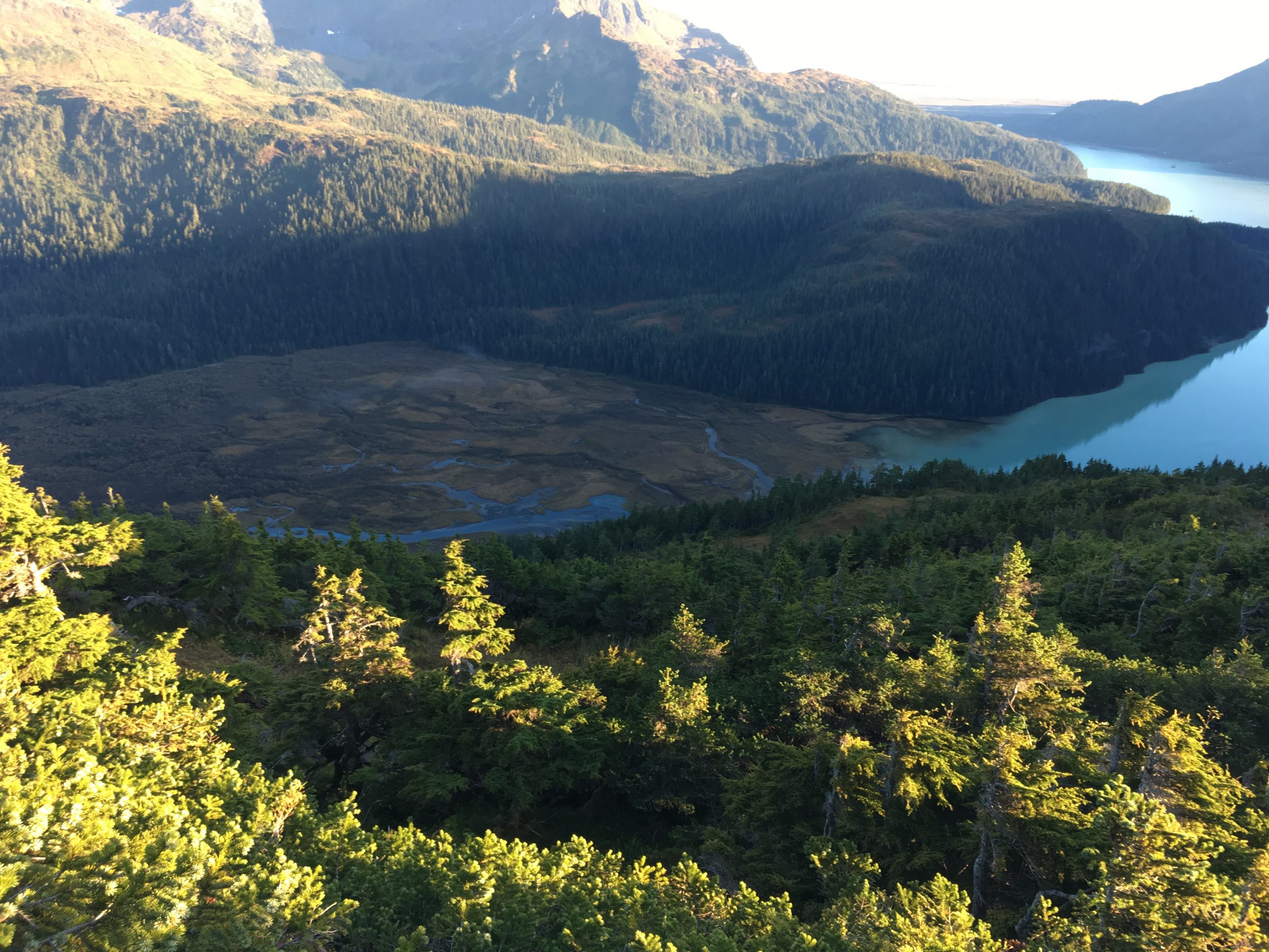 781a79d8090f47d59867ebed55d7c7ec Copper River Salmon Jam